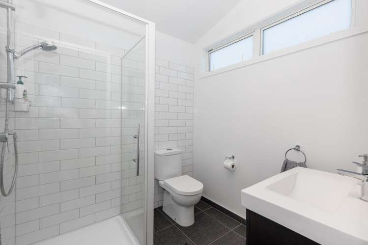 67 Devonshire Road Miramar_11