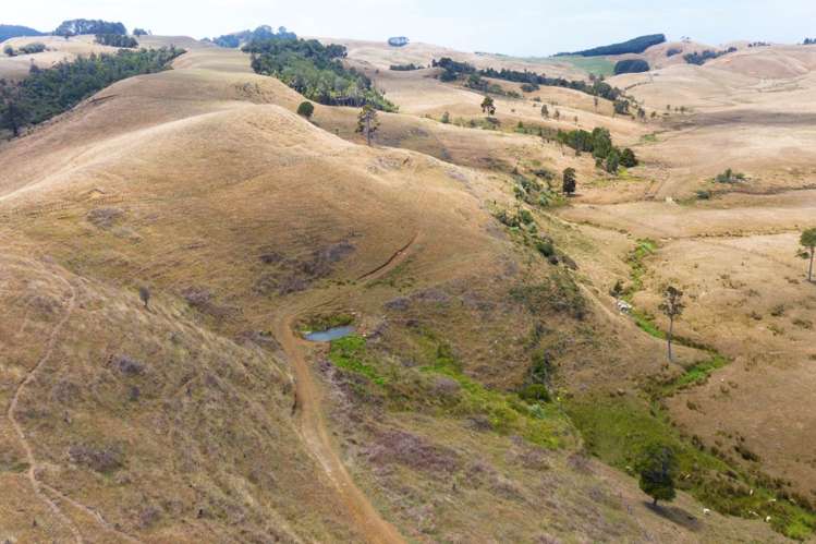 1149 Waikaretu Valley Road Waikaretu_18