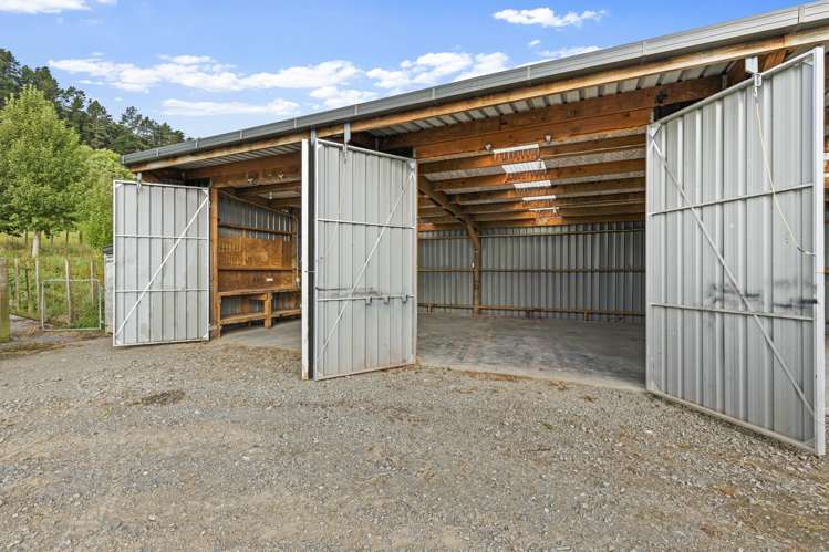 280 Pukeokahu Road Taoroa Junction_20