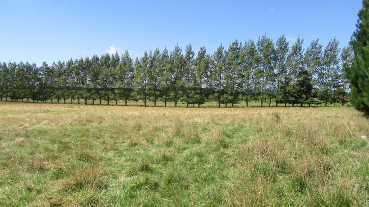 104 Upper Hook Road Makikihi_23