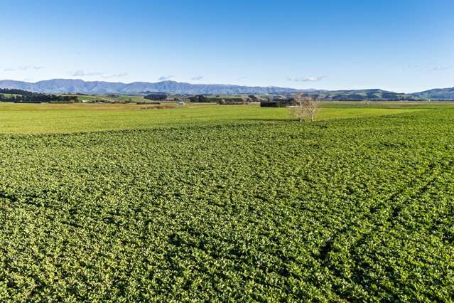 Proven Dairy Support Property - 164 Hectares