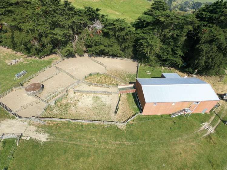 602 Esdaile Road Pongaroa_9