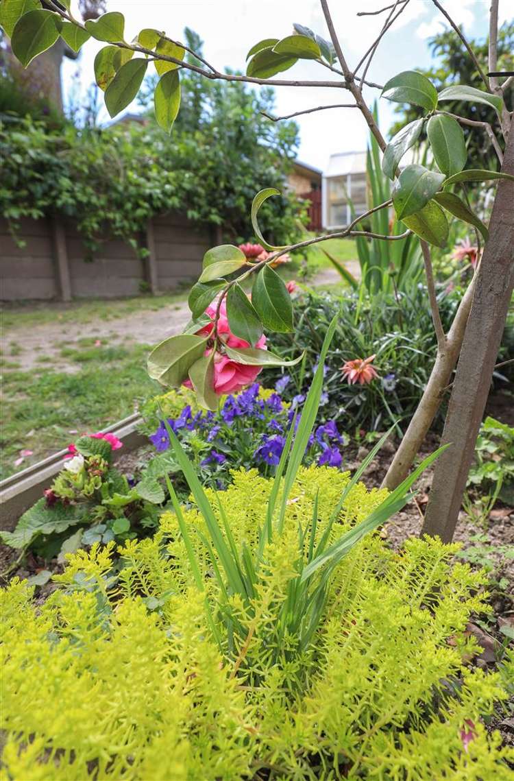 6 Hakarimata Road Ngaruawahia_55