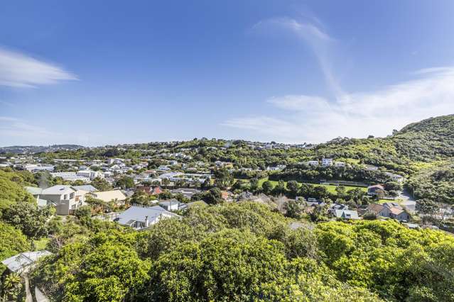 161A Totara Road Miramar_4