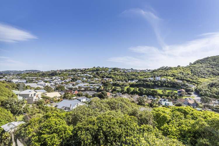 161A Totara Road Miramar_8