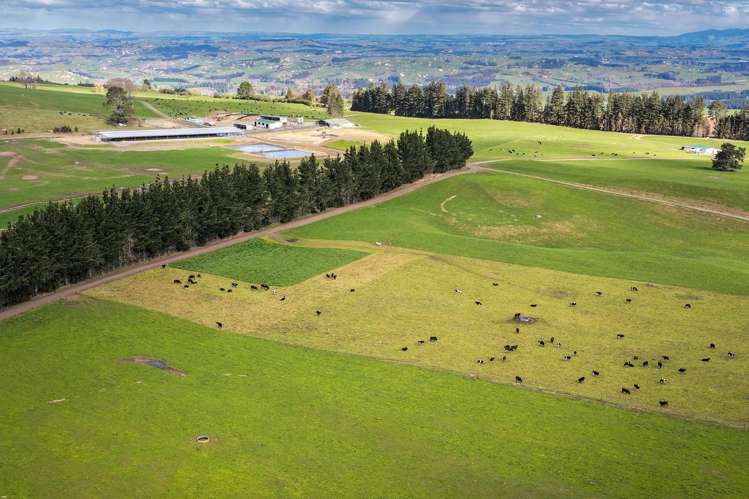 3986 Puketitiri Road Patoka_8