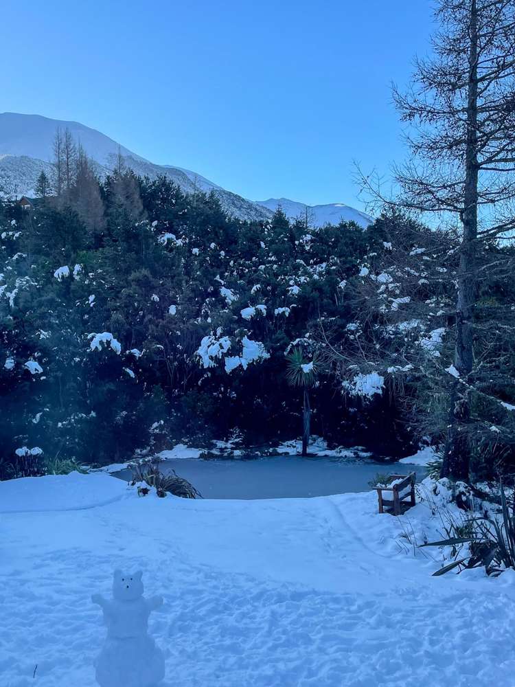 81 Mt Lyford Avenue Mt Lyford_29