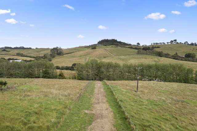 Lot 2 Forestry Road Waitoki_4