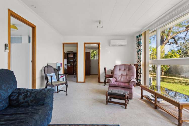 54b Graham Road Inner Kaiti_6