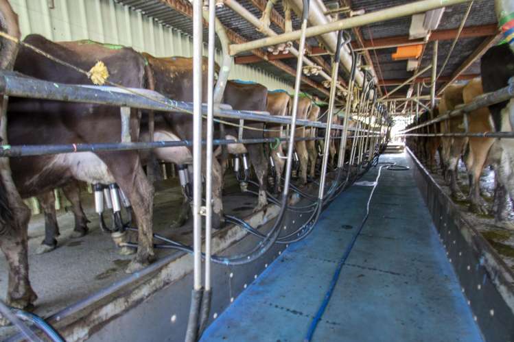 62 Rehi Road Ngakuru_14