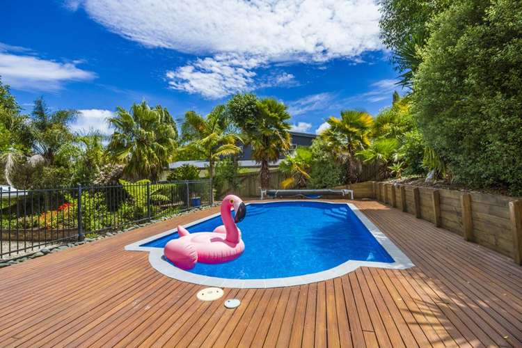 16 Capricorn Place Browns Bay_3