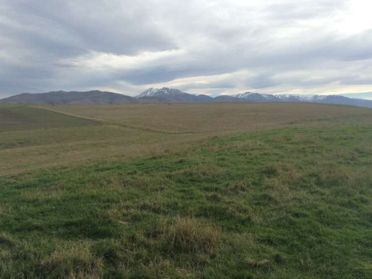 422 Earthquake Road Duntroon_13