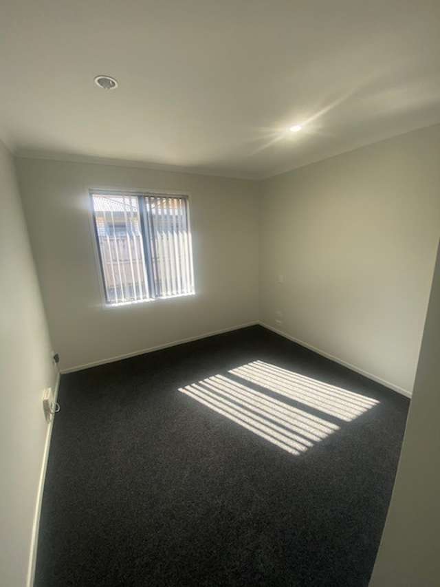 52D Lorne Street 1071_2