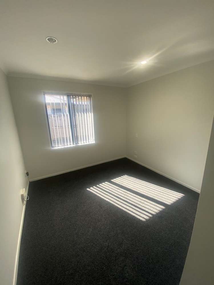 52D Lorne Street 1071_2