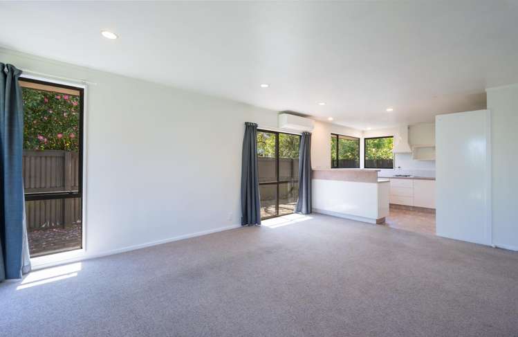 14a Green Street Tahunanui_9