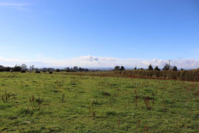Above 544 Surrey Road Tariki_2