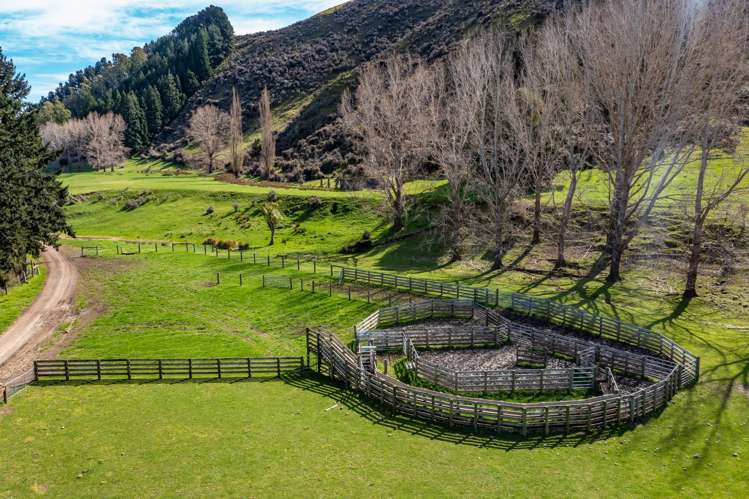 773 Cat Hill Road Cheviot_6