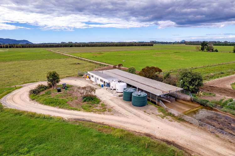 630 Otakiri Road Otakiri_1