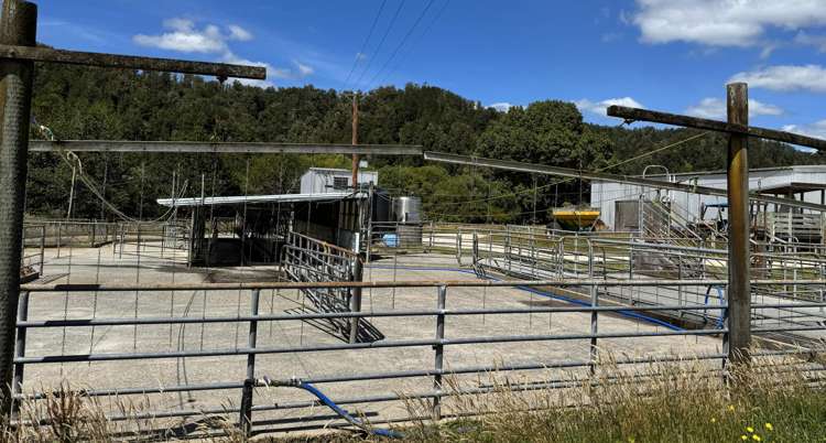 410 Maimai Road Reefton_13