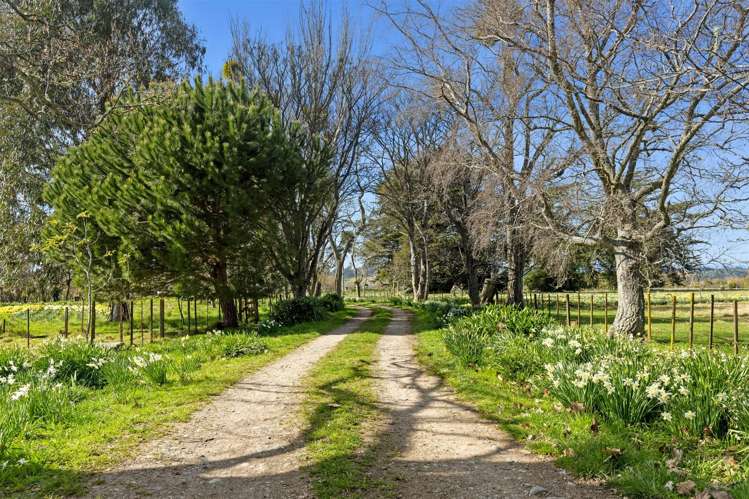 66 Central Road Motueka_1