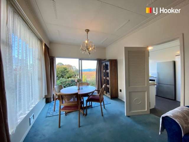 108 Maitland Street Dunedin Central_2