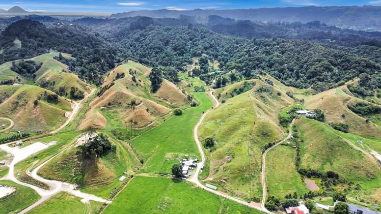 791B White Pine Bush Road Awakeri_39