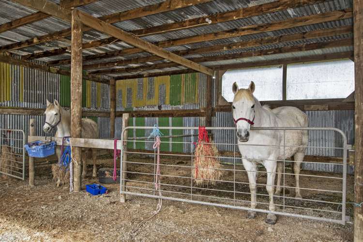 99 Franklin Road Parua Bay_23