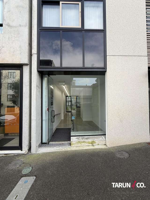 17A Crummer Road Grey Lynn_1