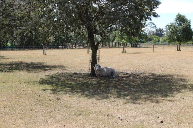 68 Grayburn Road Elgin_20