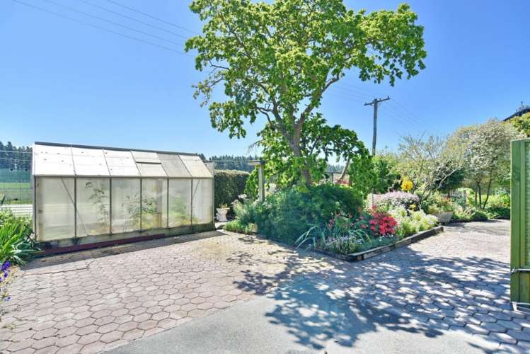 50 Grierson Avenue Amberley_12