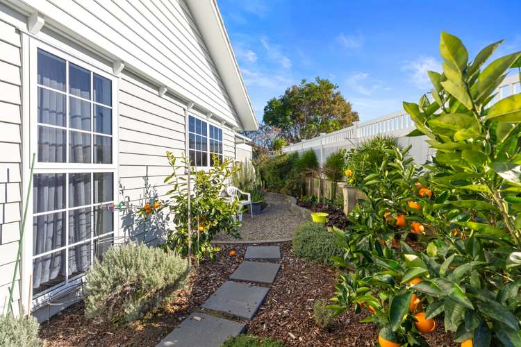 9 Parau Drive Bethlehem_17