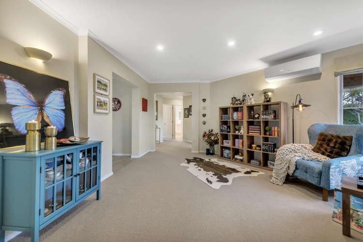 12 San Jose Rise Shamrock Park_18