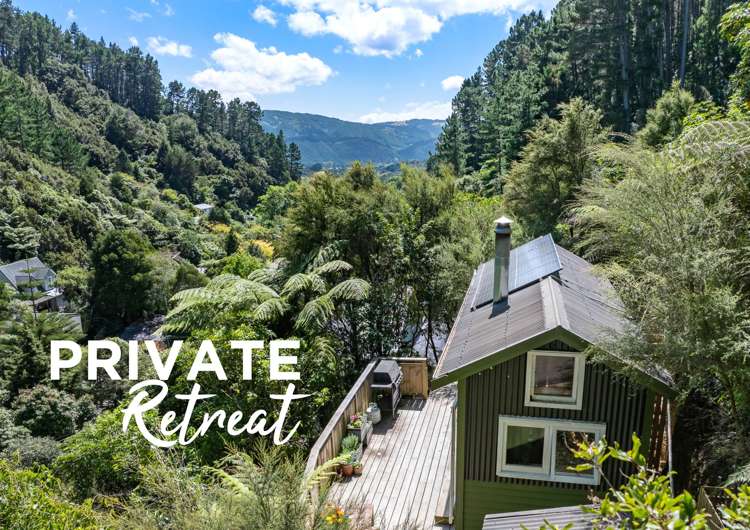 159 Pinehaven Road_0