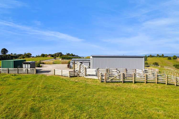 931B Lincoln Road Inglewood_23