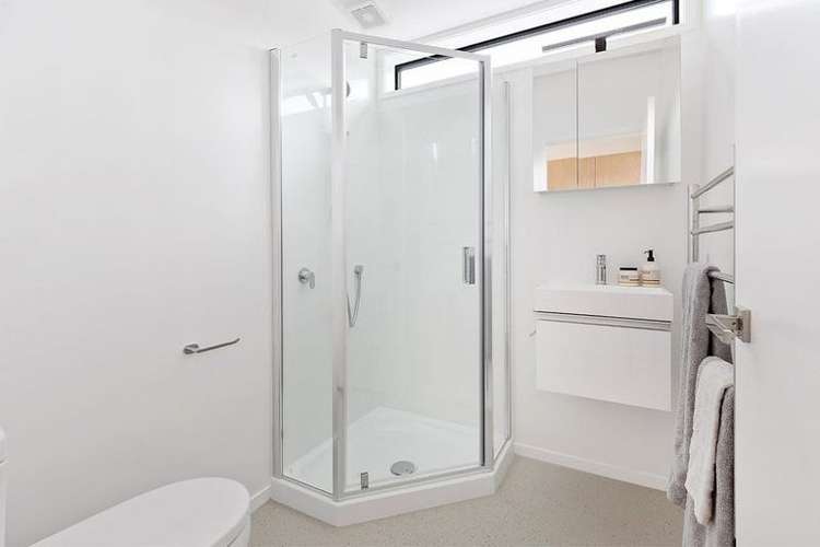 46B Camperdown Road Miramar_6