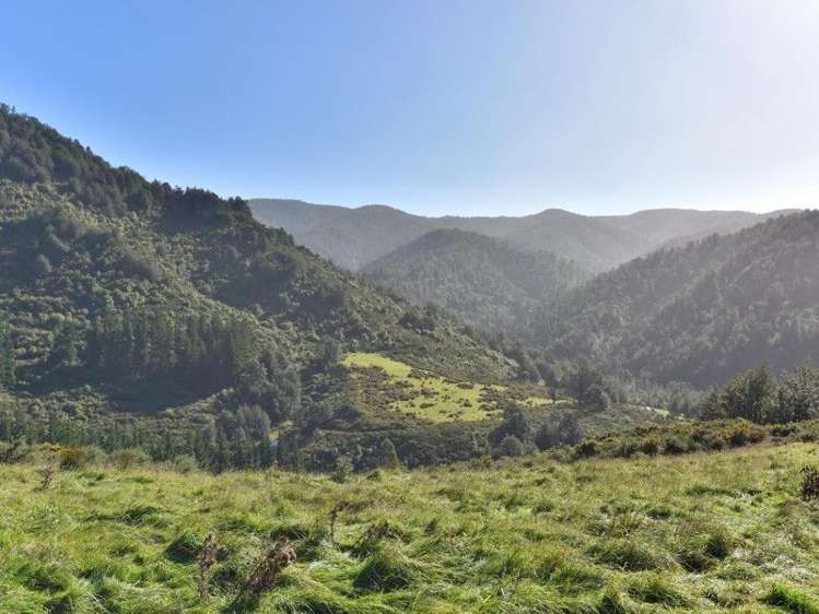 446 Glentui Bush Road Glentui_5