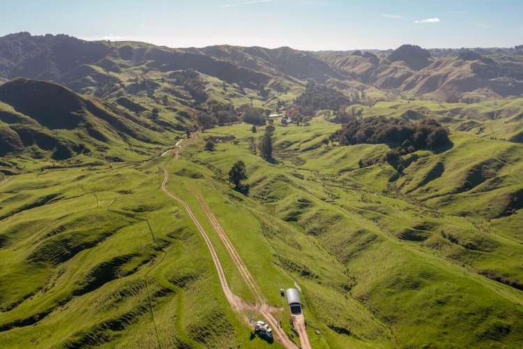 231 Leitch Road Piopio_2