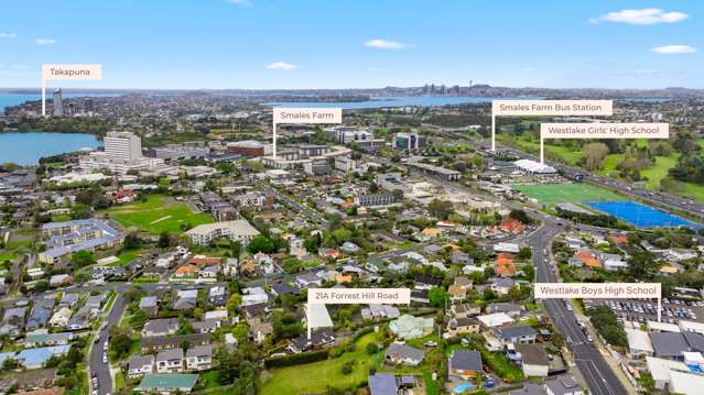 21a Forrest Hill Road Milford_1