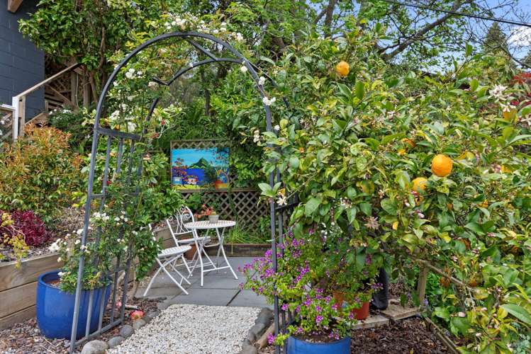 182 Verbena Road Birkdale_52