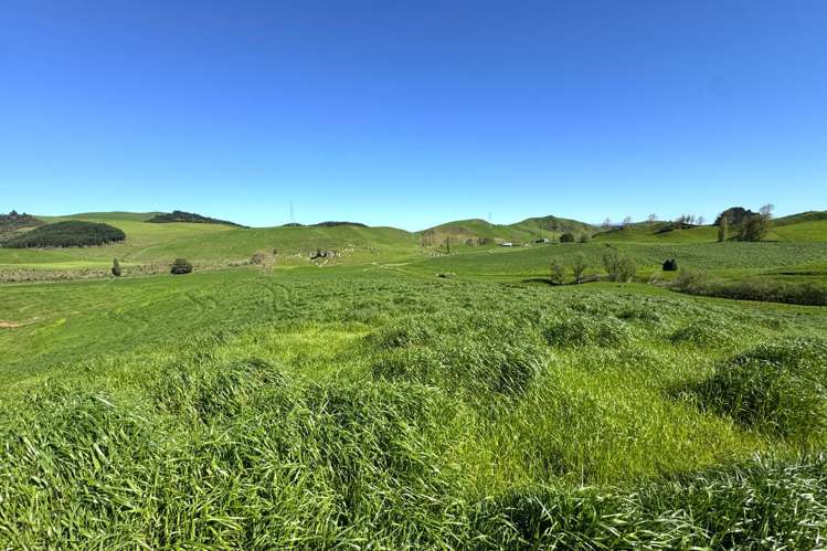 161 Veale Road Otorohanga_28