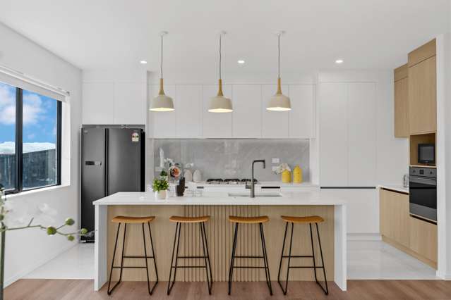 3 Netu Lane Pokeno_1