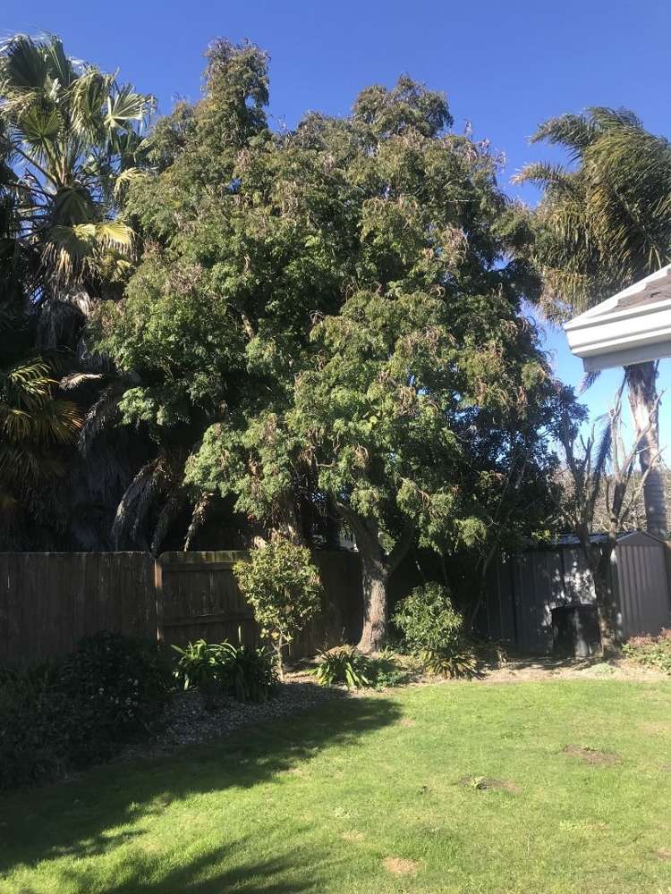 7 Saint Clair Place Papamoa_14