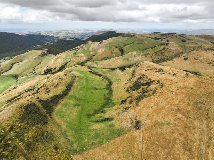 1320 Hunt Road Catlins Surrounds_6