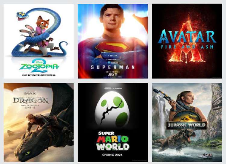 214 The Parade Wellington Central_4