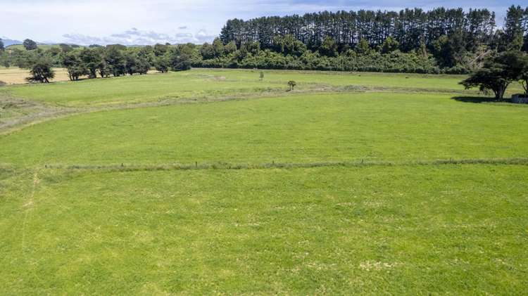 83385 State Highway 2 Eketahuna_9