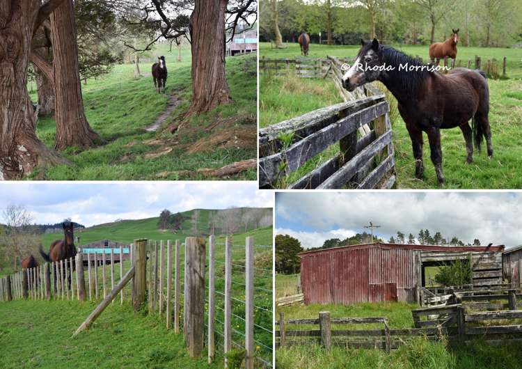 726 Paparoa Station Road Maungaturoto_57