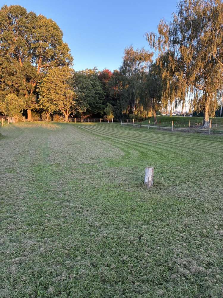 50 Hornbrook Street_3