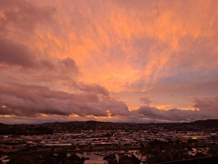 74 Punga Grove Avenue Riverside_30