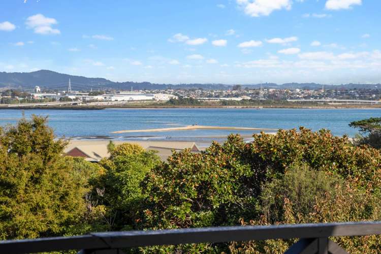 105 Walker Road Point Chevalier_19