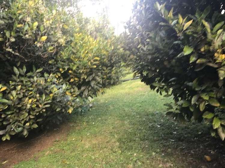 57 Tirimoana Terrace Anakiwa and Surrounds_11